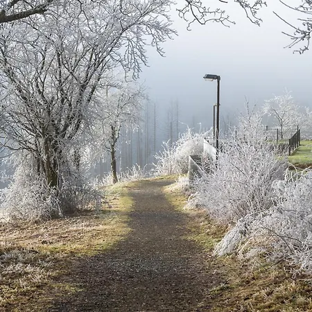 Wurmberg - Im Harz *